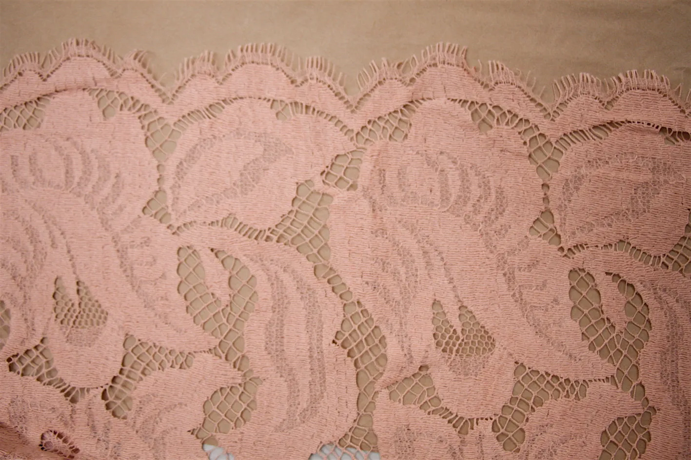 Apricot Lace