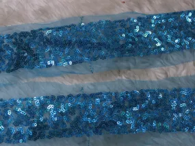 Blue Fancy Sequins Trim Embroidered Border