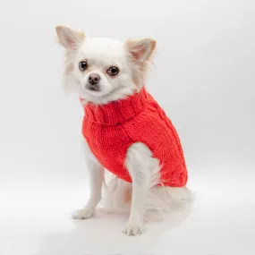 Hand Knit Turtleneck Sweater in Papaya Electric (Dog & Co. Exclusive) (FINAL SALE)